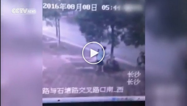 Китаец спилил дерево, чтобы украсть велосипед 
