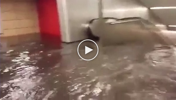 Наводнение в берлинском метро