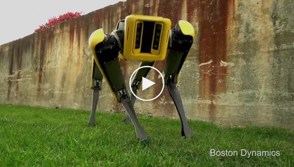 Boston Dynamics      SpotMini