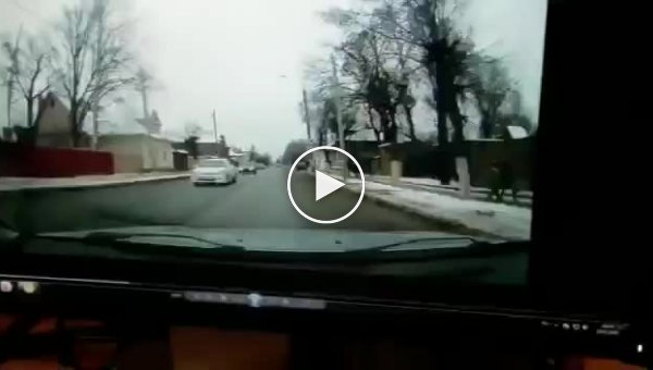 В Павловском Посаде пьяный водитель врезался в полицейский автомобиль