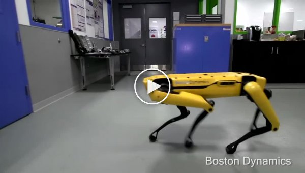    !  Boston Dynamics     