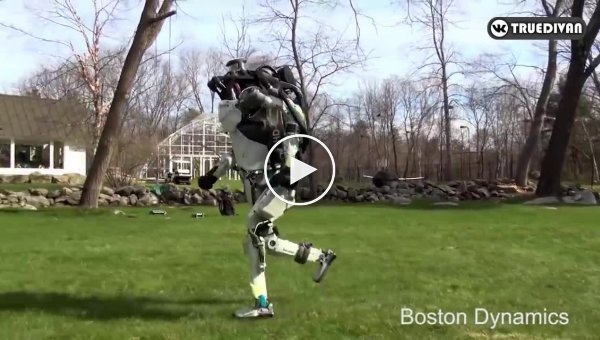    Boston Dynamics.      ()