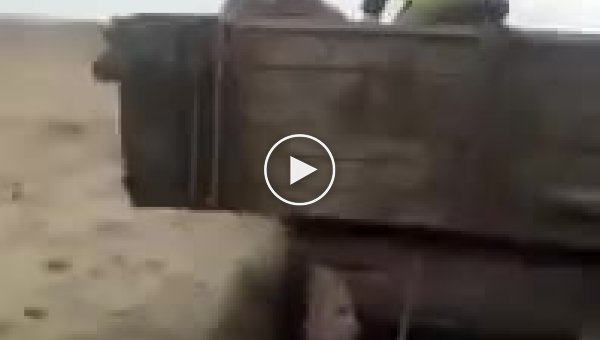 Необычная погоня гаишник догоняет трактор в его прицепе