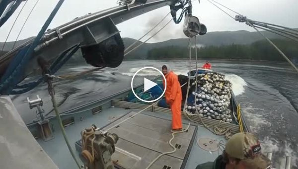Столкновение рыболовных судов