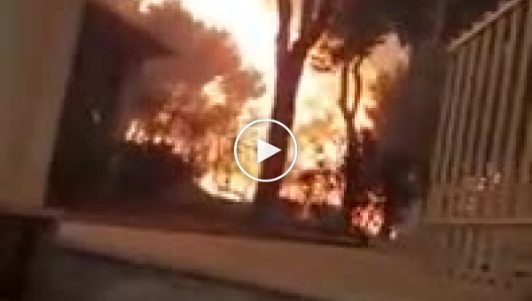Грек успел снять пожар, охвативший его дом видео