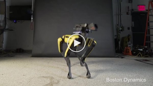 Boston Dynamics  - Spot   