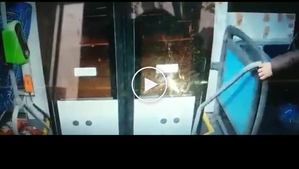 Женщину-контролера и пассажира нокаутировали в автобусе под Москвой