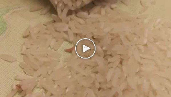 Рис с червями из Сильпо