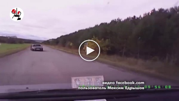 Водитель, погубивший двух человек в Свердловской области, получил всего три года колонии-поселения