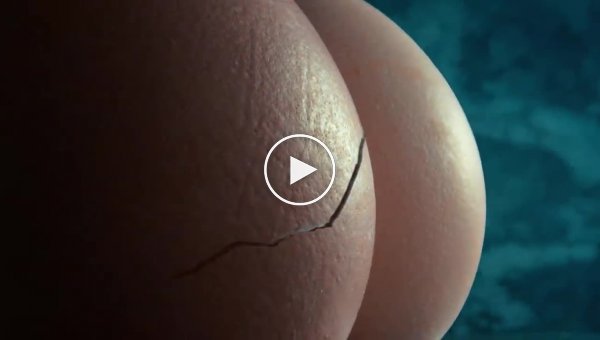 Рекламный ролик о сексе без использования пошлости