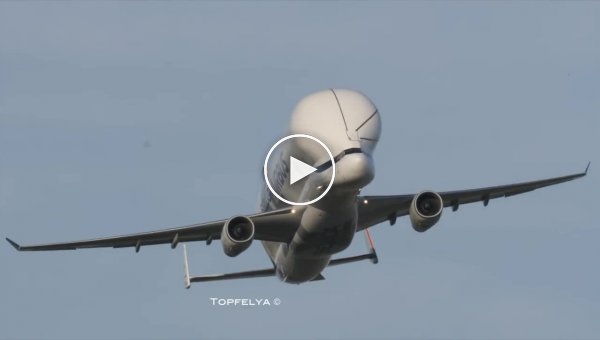   Airbus Beluga XL